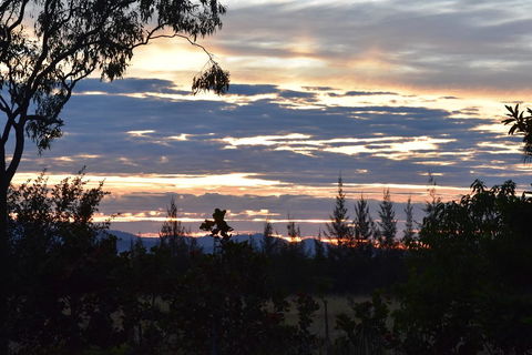 Ironbark House - Suburb Australia 40