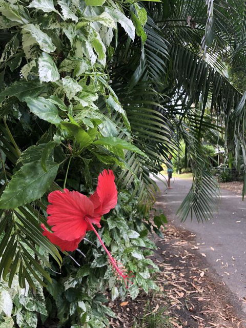 Absolute Beach Frontage, Family Friendly, Home Away From Home - Suburb Australia 1