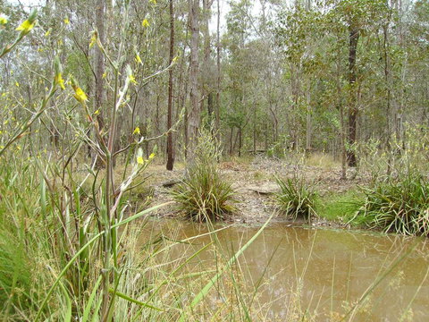 Back To The Bush - Suburb Australia 2