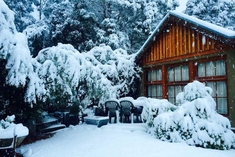 BEAUTIFUL RETREAT - 20 Mins To CBD And Only 10 Mins To MONA! - Suburb Australia 0