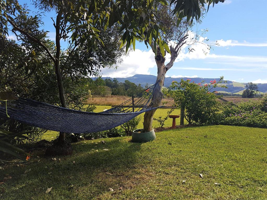 Illawarra NSW Suburb Australia