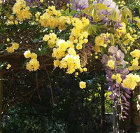 Bowral Road Bed and Breakfast - Suburb Australia