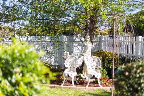 BIRCHES B&B - Suburb Australia 2