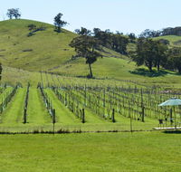 Blue House at Mountainside Wines - Suburb Australia