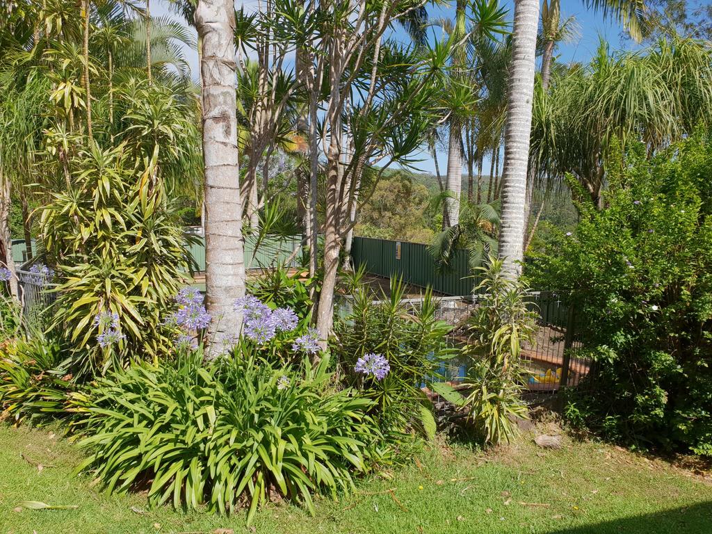 Leycester NSW Suburb Australia
