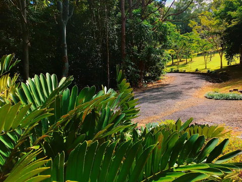 Cadaghi Cottage - Suburb Australia 2