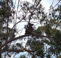Escape to the Country - Enjoy the firepit or explore magical Bunya Mountains - Suburb Australia