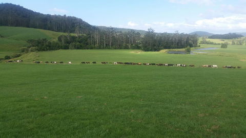 Farm Golf - Suburb Australia 2