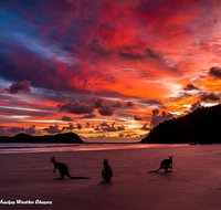 Heather's Mica Cottage - Suburb Australia