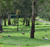 JAN'S ART STUDIO AT ASHBY RISE - Suburb Australia