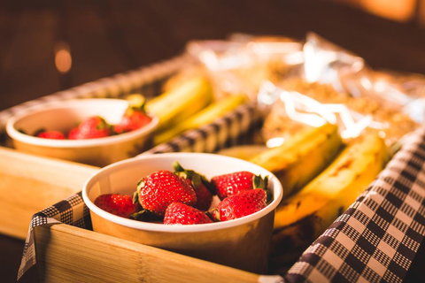 Malanda Lodge - Suburb Australia 3