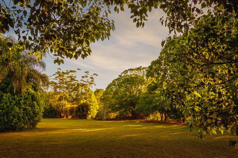 Malanda Lodge - Suburb Australia 1