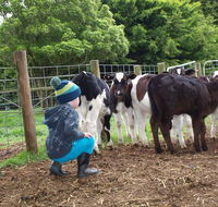 Manderley Park Farmstay BB - Suburb Australia