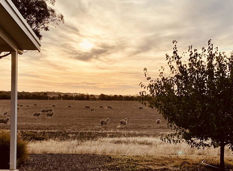 Mary's Farm Cottages - Suburb Australia 2