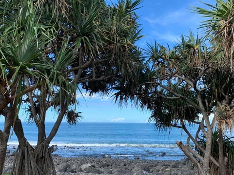 Nautilus Beachside Apartments - Suburb Australia 3