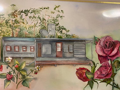 Paluma Rainforest - Carriage In The Mist - Suburb Australia 0