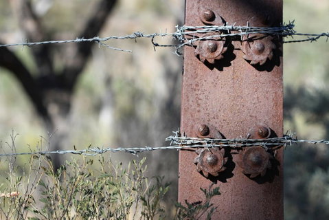 Pichi Richi Park - Suburb Australia 2