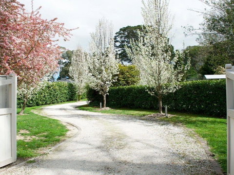 Robin Hill Manor - Rambling Retreat & Tennis Court - Suburb Australia 0