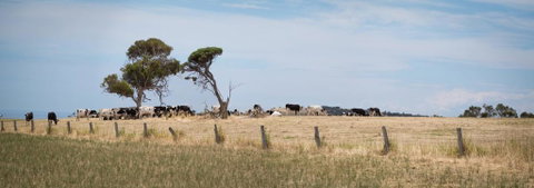 SALT - 37 Oceanview Drive - Suburb Australia 2