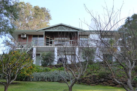 Sea Banksia - Suburb Australia 0