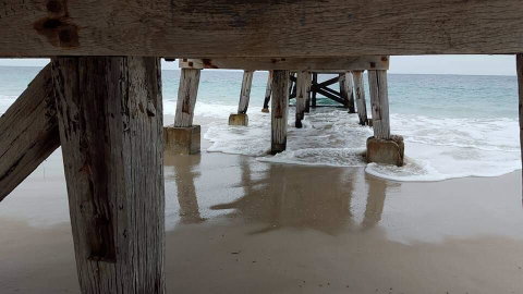 Seagrass 3 - Suburb Australia 1