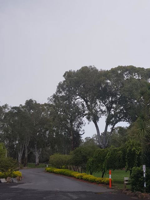 Seymour Motel - Suburb Australia 3