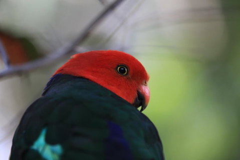 Shalimar - Suburb Australia 3