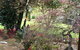 Stony Rise Cottage B&B - thumb 1