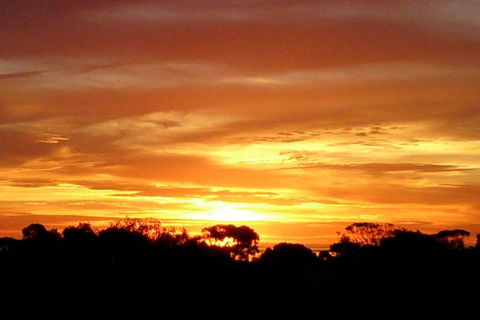 Sunsets, Sea, Wine - Suburb Australia 3
