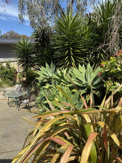 Surf Coast Haven - Suburb Australia 3