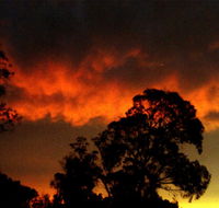 Taits Place Vineyard B  B - Suburb Australia