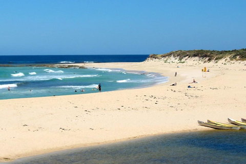 Tea Tree - Suburb Australia 2