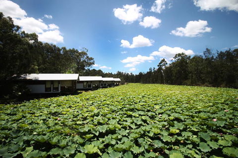 The Boathouses At Leaves & Fishes - Suburb Australia 0