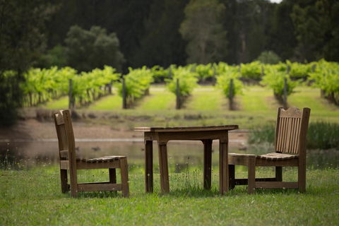 The Carriages Boutique Hotel And Vineyard - Suburb Australia 2