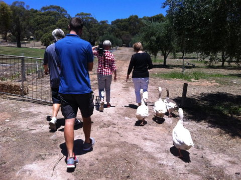 The Farm Willunga - Suburb Australia 1