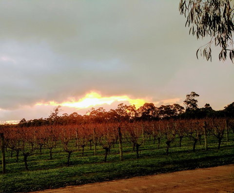 The Grove Distillery & Brewery - Suburb Australia 2