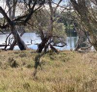 The Lake House - Suburb Australia