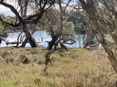 The Lake House - Suburb Australia 0