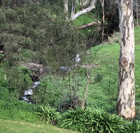 The Miners Cottage Barossa - Suburb Australia