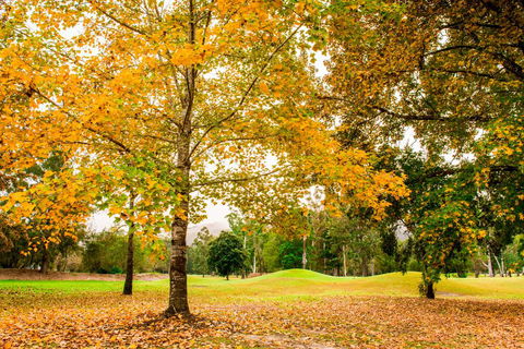 The Retreat At Wisemans - Suburb Australia 1