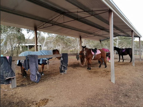 The Saddle Camp Tiny House, Braidwood - Suburb Australia 1