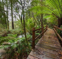 The Source Otways - Suburb Australia