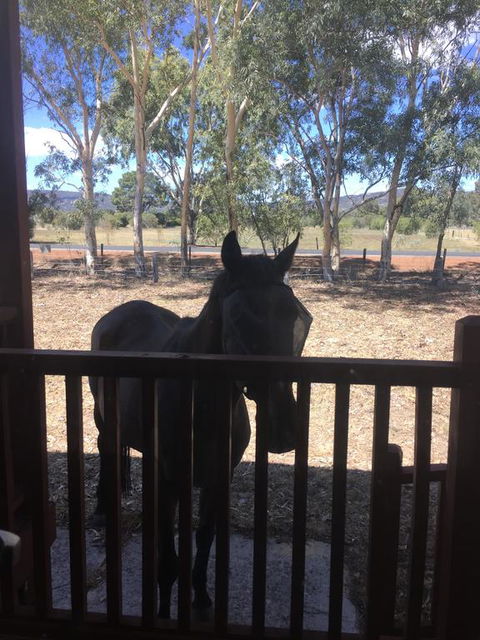 Thie My Chree Retreat - Suburb Australia 3