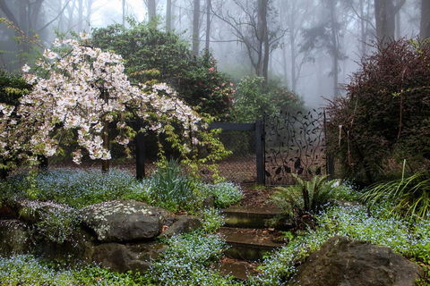 Tomah Retreat - Just RELAX - Suburb Australia 0