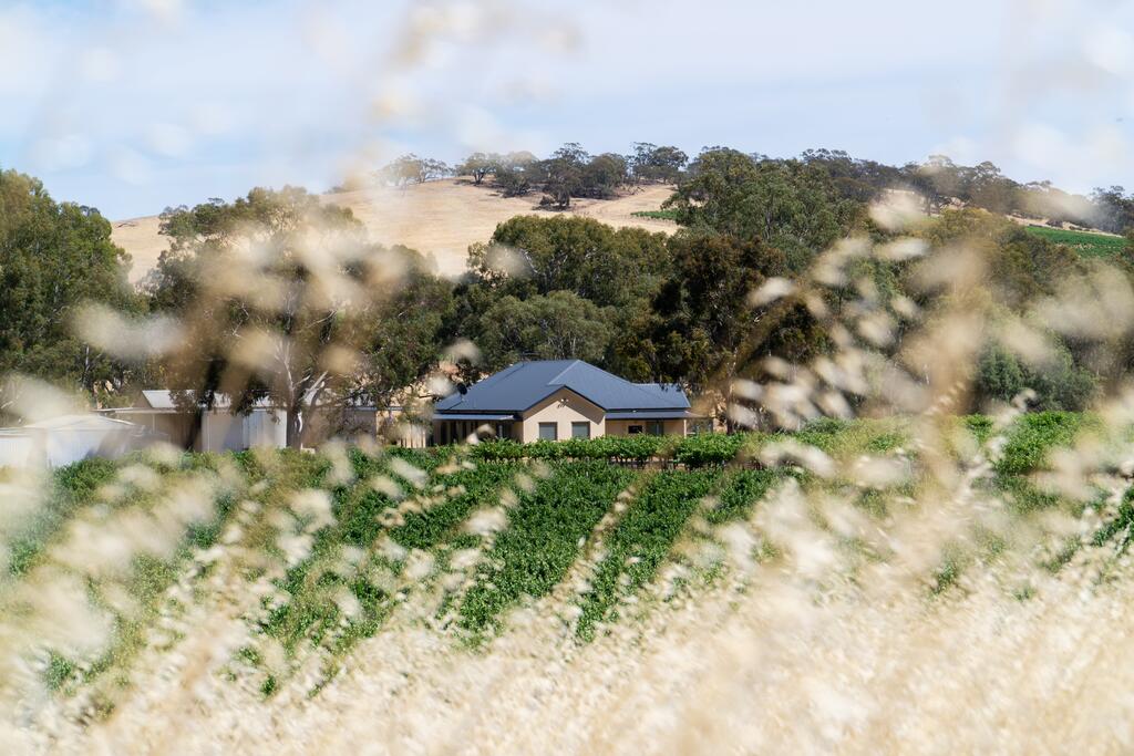 Barossa Valley SA Suburb Australia