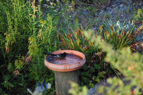 Tweed Valley Lodge - Suburb Australia 2