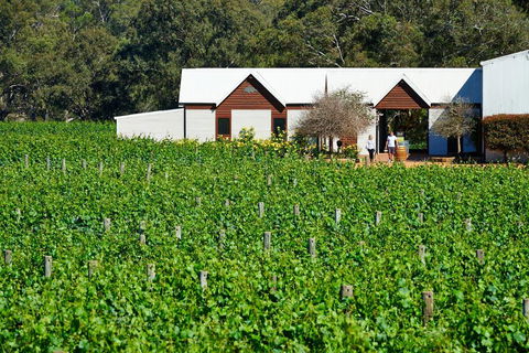 Upper Reach Spa Cottage - Suburb Australia 0
