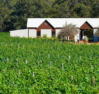 Upper Reach Spa Cottage - Suburb Australia