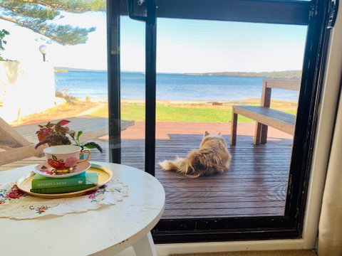 Vandy's Shack At Mount Dutton Bay - Ideal For Couples And Small Families - Suburb Australia 3