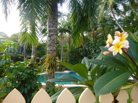 Villa Marine Holiday Apartments Cairns - Suburb Australia 1